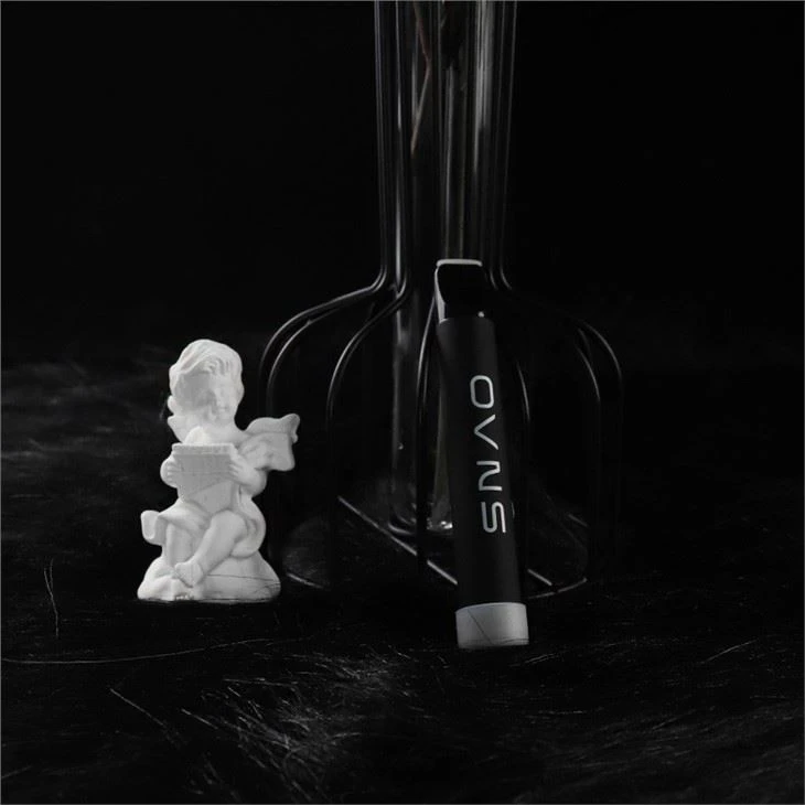 500 Puffs Disposable Vape Pen Pods Disposable