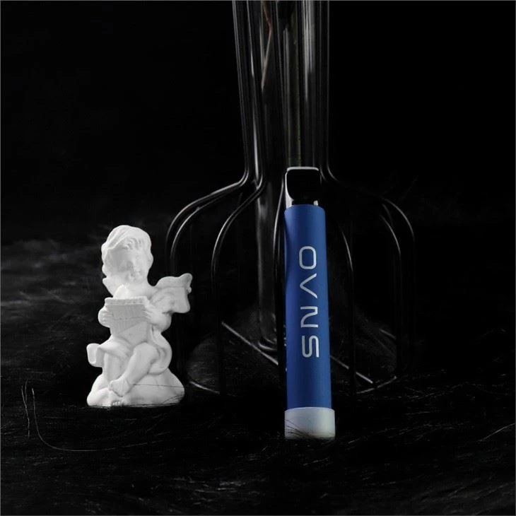 500 Puffs Disposable Vape Pen Pods Disposable