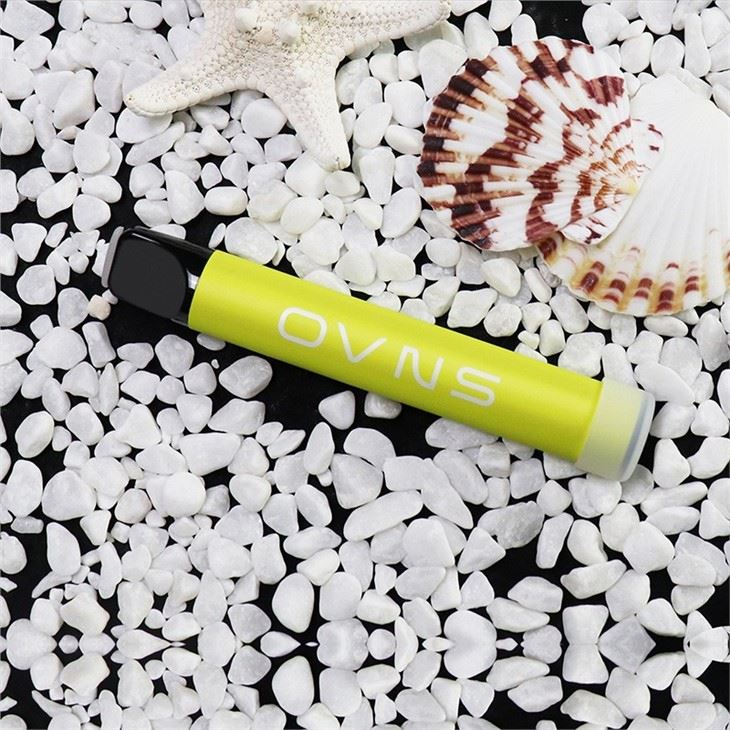 500 Puffs Disposable Vape Pen Pods Disposable