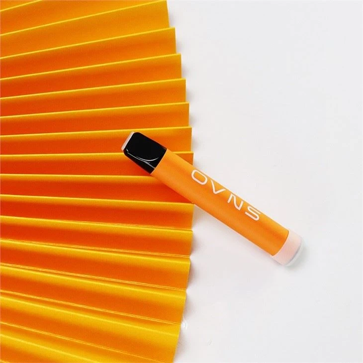 500 Puffs Disposable Vape Pen Pods Disposable