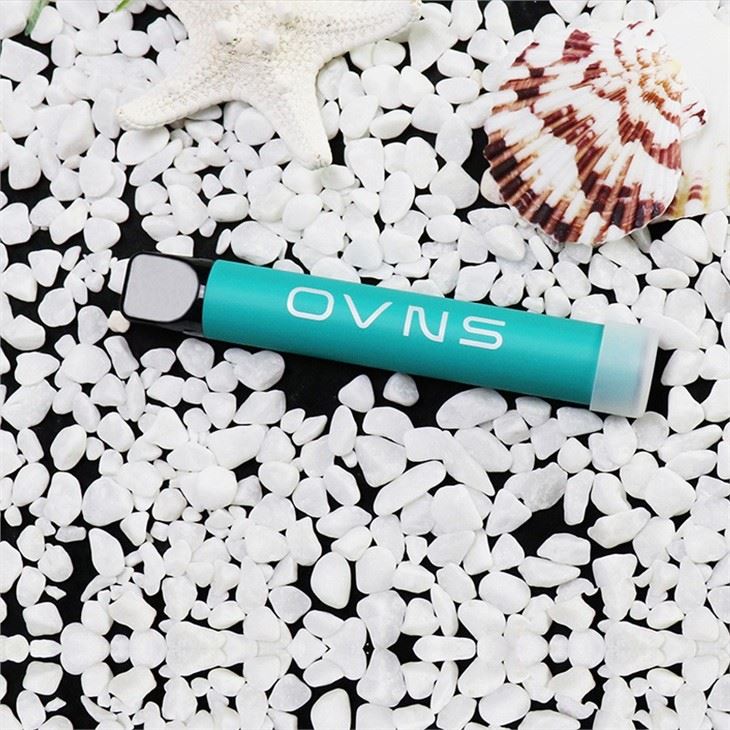 500 Puffs Disposable Vape Pen Pods Disposable