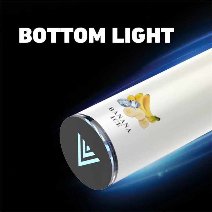 2000+ Puffs MESH Coil Disposable Vape