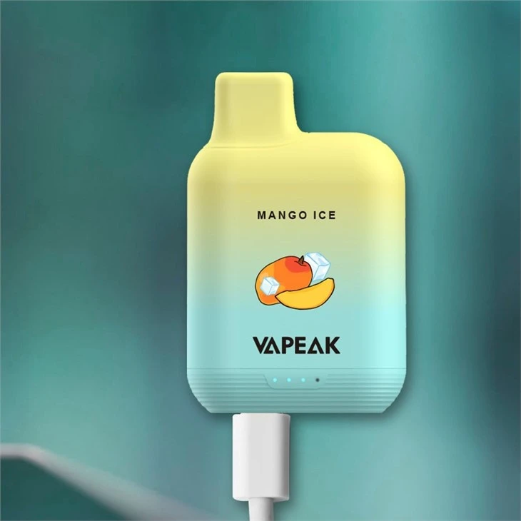 5000 Puffs SALT NIC Disposable