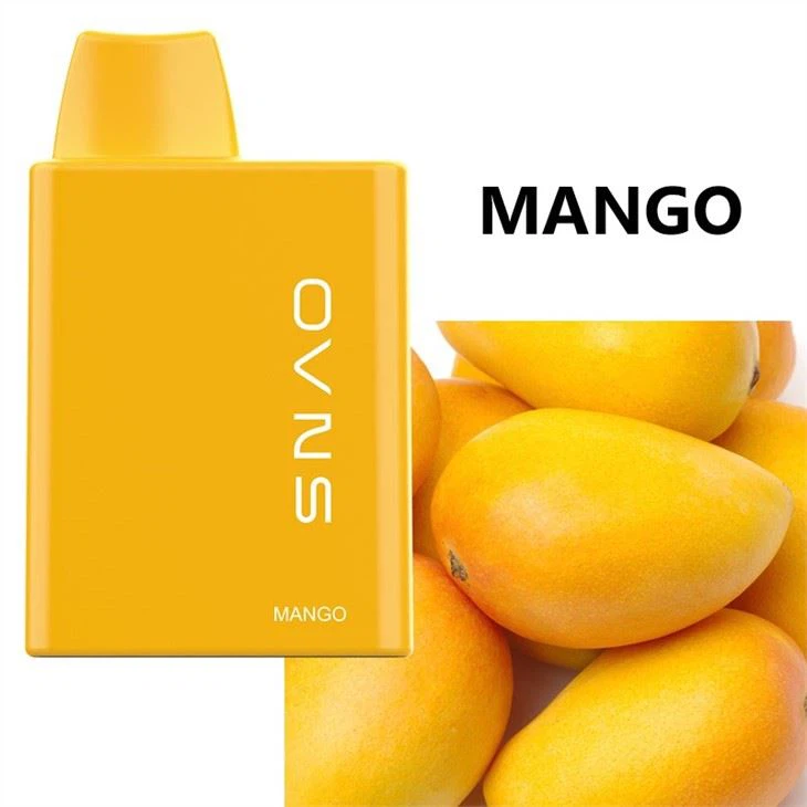 Customized Packaging Disposable Electronic Cigarette