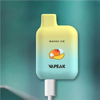 6000 Puff ühekordselt kasutatav vape seade