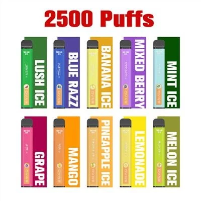 Mesh Coil E Cig Disposable Vape