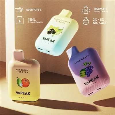 VAPEAK GRAND 5000puffs ühekordselt kasutatav Vape