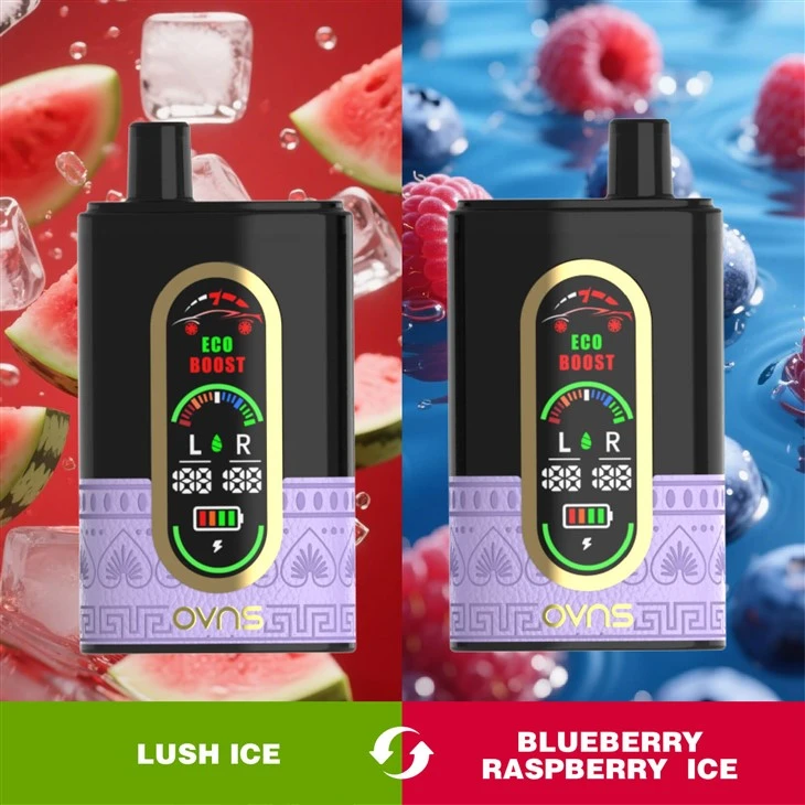 OEM ODM Dtl Shisha Dual Flavor Switch 50K Puffs Disposable E-Hookah Vape
