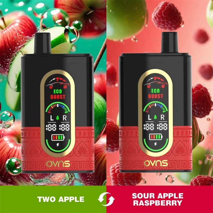 Dual Flavor Disposable Vape