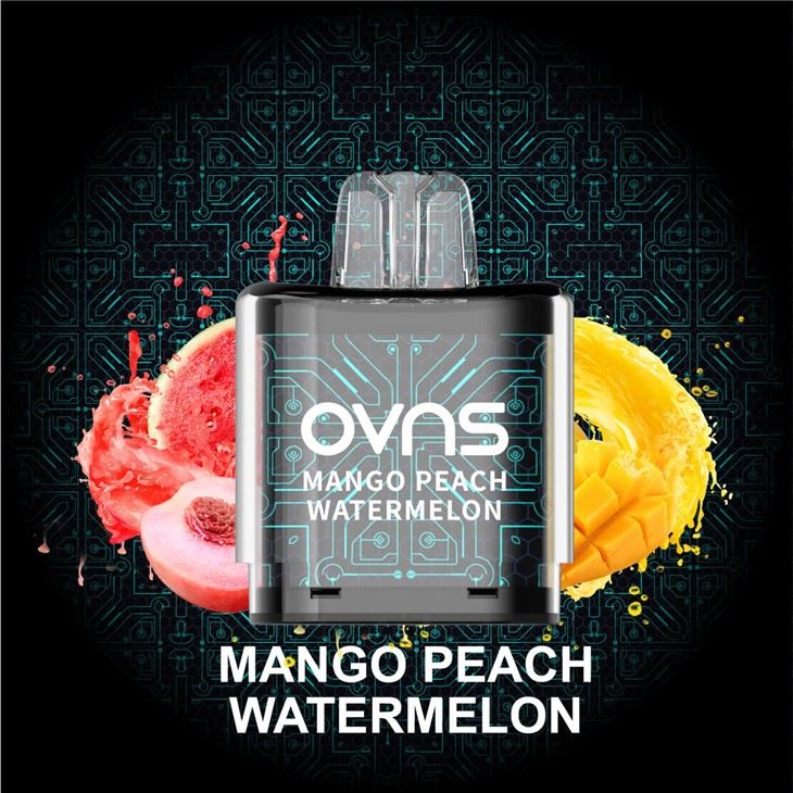 MESH12 X PREFILLED VAPE POD SYSTEM 8000 PUFFS REPLACEABLE MESH12 X PREFILLED VAPE POD SYSTEM 8000 PUFFS REPLACEABLE
