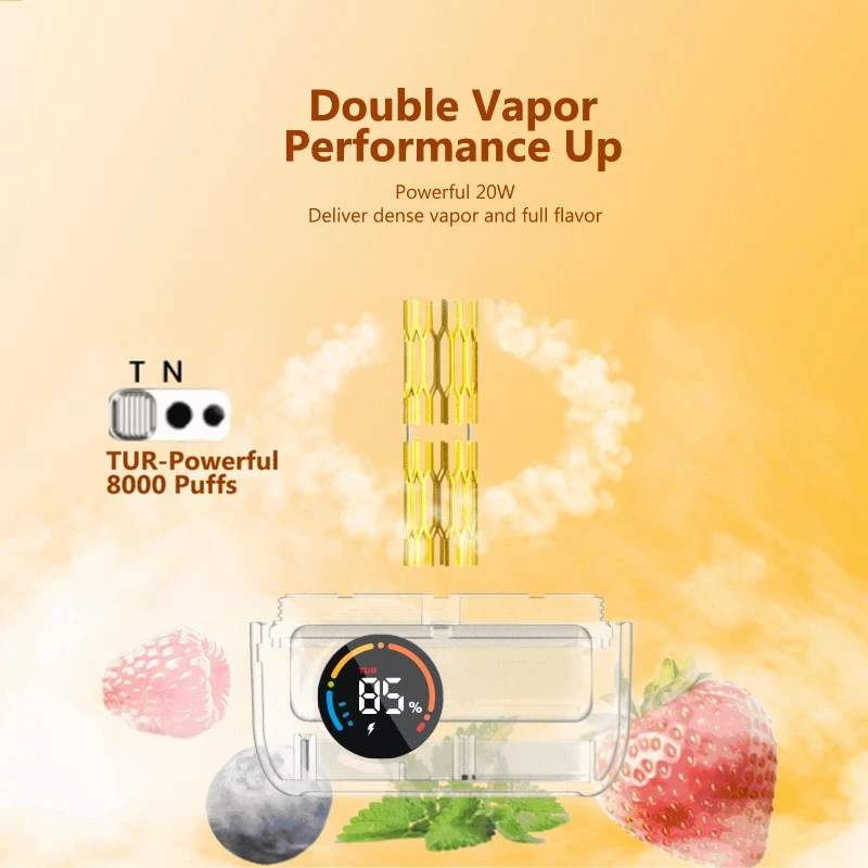dual mesh coil dual mesh coil